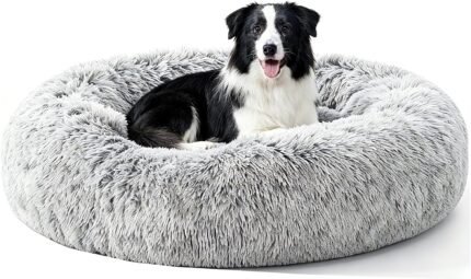 Dwanton Orthopedic Medium Donut Dog Bed, Gel Memory Foam, Washable, 36″