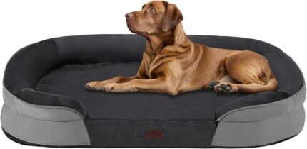 Dwanton Orthopedic Waterproof X-Large Dog Bed Sofa, Gel Memory Foam, 45"