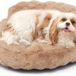 EHEYCIGA Soft Cat Couch Bed for Indoor Cats, Fluffy Small Dog Bed with Removable Washable Cover, Bolster Pet Sofa, Waterproof and Non-Slip, 24″ x 24″x 7″, Camel