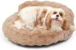 EHEYCIGA Soft Cat Couch Bed for Indoor Cats, Fluffy Small Dog Bed with Removable Washable Cover, Bolster Pet Sofa, Waterproof and Non-Slip, 24" x 24"x 7", Camel