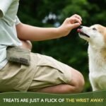 ETIAL Dog Treat Pouch,Portable Puppy Dog Training Treat Bag,Hand Free Dog Walking Bag,Auto Closing Pet Feed Snack Reward Pocket,Dog Food Dispenser for Pet Puppy Travel or Outdoor Use - Image 2