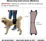 Easy Lift® Dog Hind Leg Support Slings, Medium, Machine Wash & Dry - Image 2