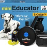Educator ET-300 Black Mini E Collar for Dog Training with Remote – 1/2 Mile Range, Waterproof, 100 Blunt Stimulation Levels, Tone or Vibration Mode, Night Light Tracking for Small, Medium & Large Dogs