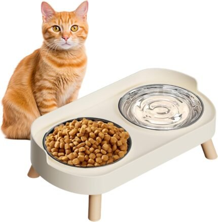 Elevated Cat Bowl, Raised Cat Food and Water Bowl Set for Indoor Cats, Splash Proof with 2 Stainless Steel Pet Food Bowls for Cats and Puppies, Whisker Fatigue and Dishwasher Safe - White