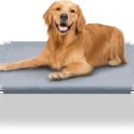 Elevated Dog Bed, Raised Outdoor Dog Bed for Medium Dogs, Portable Pet Cots