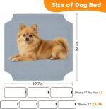 Elevated Dog Bed for Small Dogs, Dog Cooling mat Cot, Raised Dog Bed - Image 2