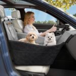Elevated Dog Car Seat for Small and Medium Dogs Up to 35 lb