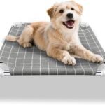 Elevated Pet Bed Dog Cot- Raised Pet Bed for Small Dogs
