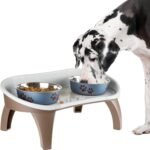 Elevated Pet Feeding Tray – 21″ x 11″ x 8.5″ Raised Dog Bowl Stand with Splash Guard and Non-Skid Feet – Comfortable Mealtime for Dogs and Cats by PETMAKER (Brown/Gray)