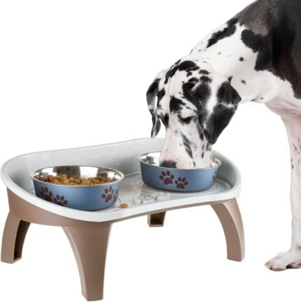 Elevated Pet Feeding Tray – 21″ x 11″ x 8.5″ Raised Dog Bowl Stand with Splash Guard and Non-Skid Feet – Comfortable Mealtime for Dogs and Cats by PETMAKER (Brown/Gray)