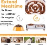 Elevated Slow Feeder Dog Bowls with Splash Proof Stand, Slow Eating 5X - Image 2