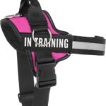 Essential Dog Harness, No Pull Pet Harness with 3 Side Rings for Leash Placement, No Choke, Reflective, Adjustable Pet Vest, Easy On-Off & Improved Control Handle, Training, Walking, Running