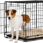 EveryYay by Petco 1-Door Dog Crate Small 24″ L X 17.5″ W X 19.5″ H Black: with Handles