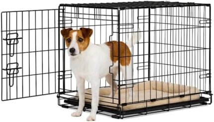 EveryYay by Petco 1-Door Dog Crate Small 24" L X 17.5" W X 19.5" H Black: with Handles