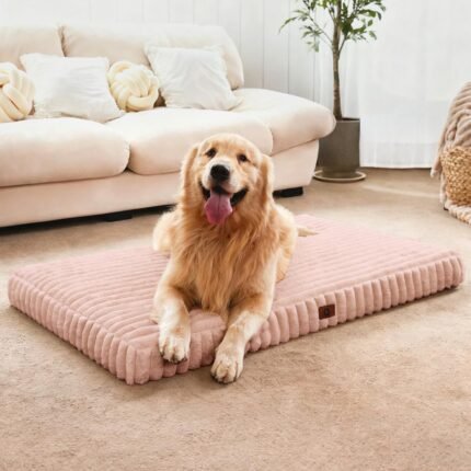 Extra Large Dog Bed Orthopedic Foam with Waterproof Lining