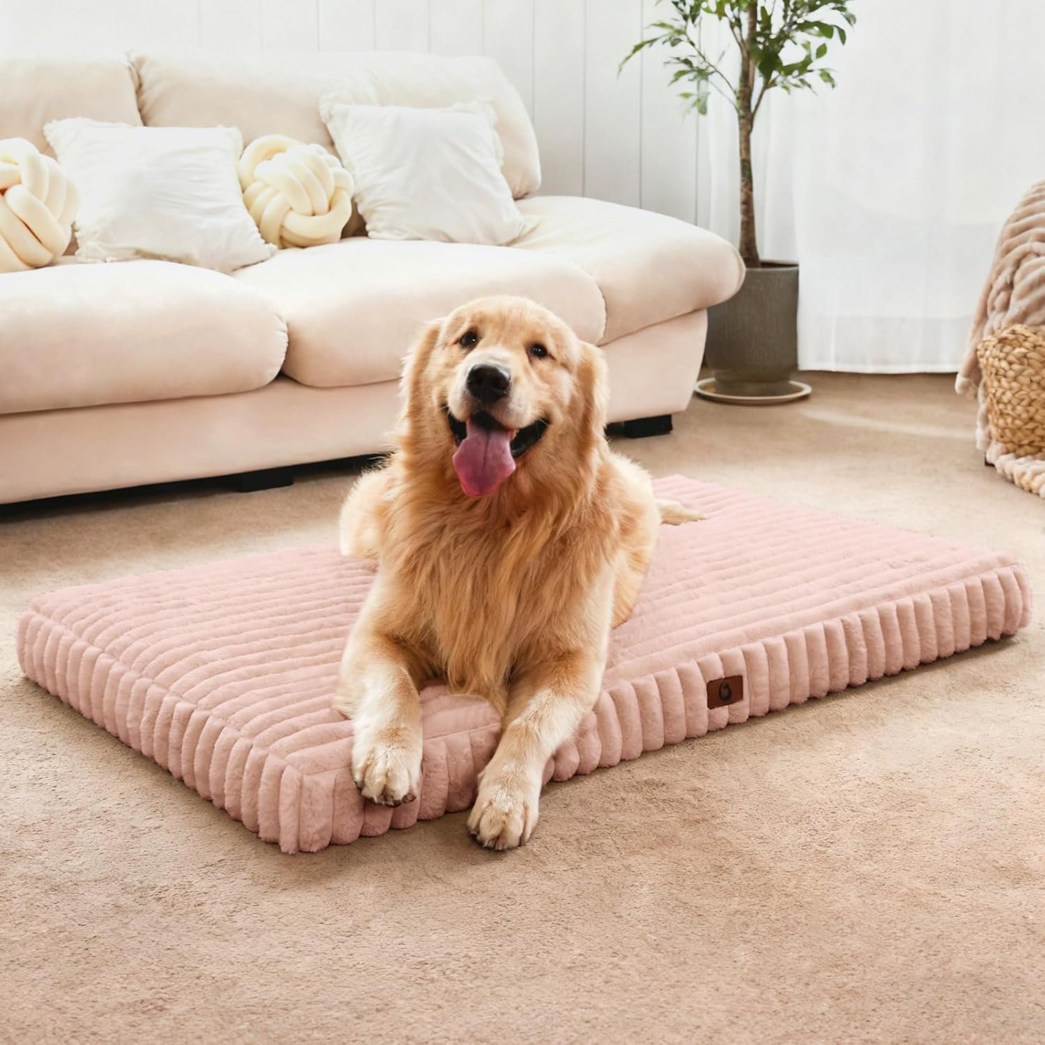 Extra Large Dog Bed Orthopedic Foam with Waterproof Lining Extra Large Dog Bed Orthopedic Foam with Waterproof Lining