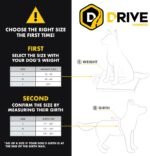 EzyDog Drive Dog Car Harness, Crash Tested and Certified - Medium - Image 2