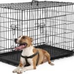 FDW | 36″ Foldable Metal Dog Crate | Black | Cage for Medium Dogs