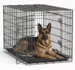 FDW | 48" Foldable Metal Dog Crate | Dark Black | Cage for XL Dogs