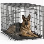 FDW | 48″ Foldable Metal Dog Crate | Dark Black | Cage for XL Dogs