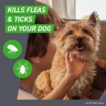 FRONTLINE Plus Flea & Tick Spot Treatment for Large Breed Dogs 45-88 lbs. (Purple) Count of 3 - Image 2