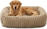 FURTIME Dog Bed Medium Size Dog, Washable Orthopedic Pet Bed with Removable Cover, Rectangle Soft Calming Sleeping Puppy Bed Durable Pet Cuddler with Anti-Slip Bottom, Beige, M Plus (30"x24"x8")