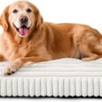 FURTIME Dog Beds Large Sized Dog, Washable Dog Bed for Crate, 35″