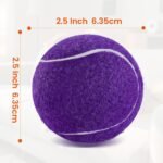 FURWEY Colorful Tennis Balls for Dogs, 2.5 inches, 16 Pack, Non Squeaky - Image 2