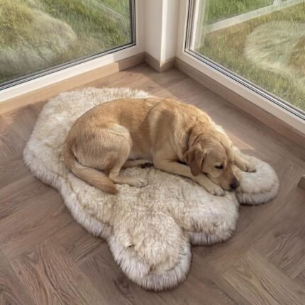 Faux Fur Orthopedic Dog Bed, Memory Foam, White w/Brown Tips 50″x30″