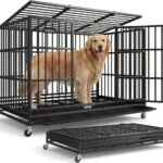 Feandrea Heavy-Duty Foldable Dog Crate, 5-Minute Quick Setup, Double Doors