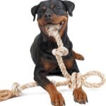 Fida Dog Rope Toys for Large Dogs, Tough Tug of War Dog Toys