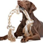 Fida Dog Rope Toys for Medium Large Dogs, Chew Toys for Aggressive Chewers