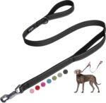 Fida Heavy Duty Dog Leash for Medium Large Dogs, 5 FT, Dual Padded Handles