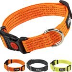 Fida Reflective Nylon Dog Collar with Neon Color for Medium Dogs, Orange
