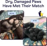 Finn Paw Hero Dog Paw Balm - Hot Pavement Protection - Lick-Safe - 1.75 oz - Image 2