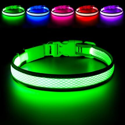 Flashseen LED Dog Collar, Light Up Dog Collar USB Rechargeable (Green, Large)