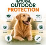 Flea and Tick Prevention for Dogs Pills - 170 Soft Chewables - Oral Defense - Image 2