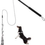 Flirt Pole for Small Medium Dogs,Interactive Chase and Tug of War Outdoor Dog Toys,Heavy Duty Dog Teaser Wand Chase Toys with Rope,Durable Flirt Stick Pole for Dogs Outside Agility Exercise & Training