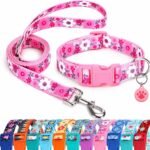 Floral Matching Dog Collar and Leash Set with AirTag Holder-Pink Daisy/XS