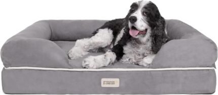 Friends Forever Large Dog Bed Couch, Orthopedic Pet Sofa Memory Foam