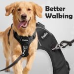 Funfox Dog Harness Medium Sized Dog, Vertical Handle Easy Control, No Pull Pet Vest Adjustable with 2 Leash Clips, Soft Material, Reflective Safe Night Walking for Small Medium Large Breed, Black, M - Image 2