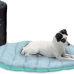 Furhaven Outdoor Travel Dog Bed for Small Dogs w/ Carry Bag, Washable & Foldable, Great for Crates & Kennels – Trail Pup Travel Pillow Mat w/ Stuff Sack Bag – Aqua/Granite Gray, Small