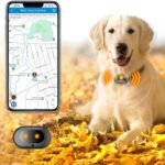 GPS 4G Tracker & Health Monitoring for Dog with LED Light Up,Sounding, Waterproof GPS Location & Smart Pet Activity Tracker, Super Long Standby time, Unlimited Range use for Dogs Collar