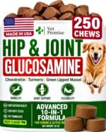 Glucosamine Hip & Joint Supplement for Dogs - 250 Chews with Chondroitin