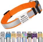 GoTags Reflective Dog Collar with Personalized Nameplate, Collar Tag Combo