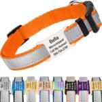 GoTags Reflective Dog Collar with Personalized Nameplate, Collar Tag Combo