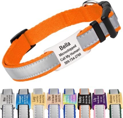 GoTags Reflective Dog Collar with Personalized Nameplate, Collar Tag Combo