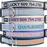 GoTags Reflective Personalized Dog Collar, Custom Embroidered Safety Collar