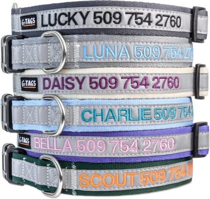 GoTags Reflective Personalized Dog Collar, Custom Embroidered Safety Collar