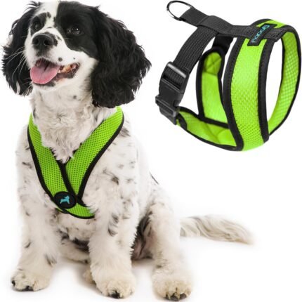 Gooby Comfort X Head-in Dog Harness, Choke-Free, Green, Large